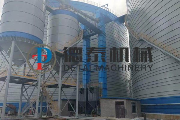 NE200板鏈提升機